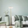 Lampadaire Paul Neuhaus Q-ETIENNE LED Laiton, 1 lumière, Télécommandes