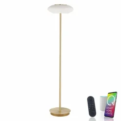 Lampadaire Paul Neuhaus Q-ETIENNE LED Laiton, 1 lumière, Télécommandes