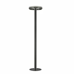 Lampadaire Paul-Neuhaus Q-VITO LED Anthracite, 3 lumières, Télécommandes