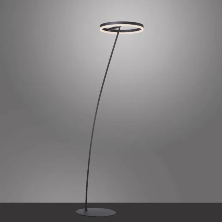 Luminaires Paul Neuhaus Lampadaires Et Lampes Sur Pied|Lampadaire Paul-Neuhaus TITUS Anthracite, 1 lumière