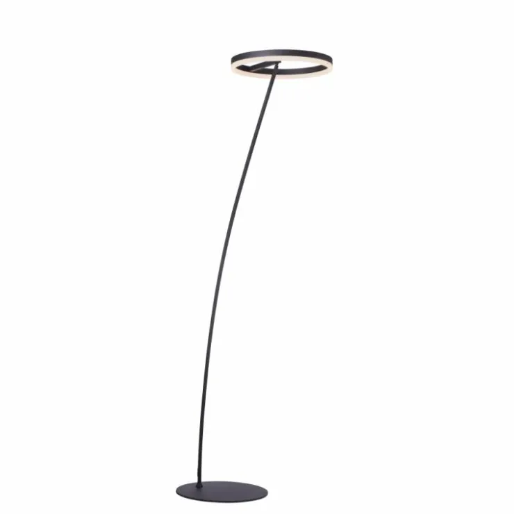 Luminaires Paul Neuhaus Lampadaires Et Lampes Sur Pied|Lampadaire Paul-Neuhaus TITUS Anthracite, 1 lumière