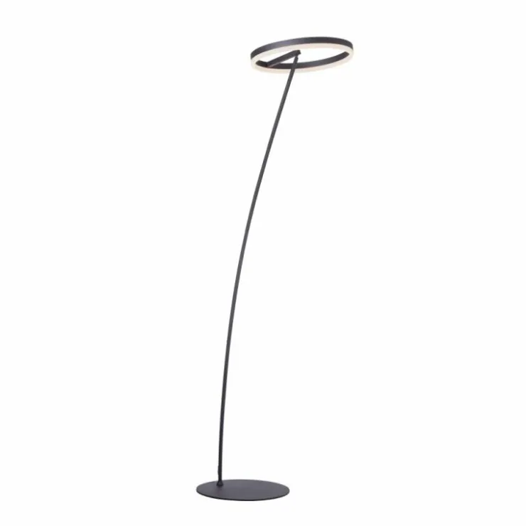 Luminaires Paul Neuhaus Lampadaires Et Lampes Sur Pied|Lampadaire Paul-Neuhaus TITUS Anthracite, 1 lumière