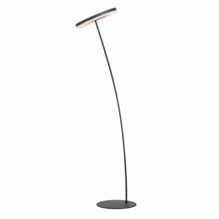 Luminaires Paul Neuhaus Lampadaires Et Lampes Sur Pied|Lampadaire Paul-Neuhaus TITUS Anthracite, 1 lumière