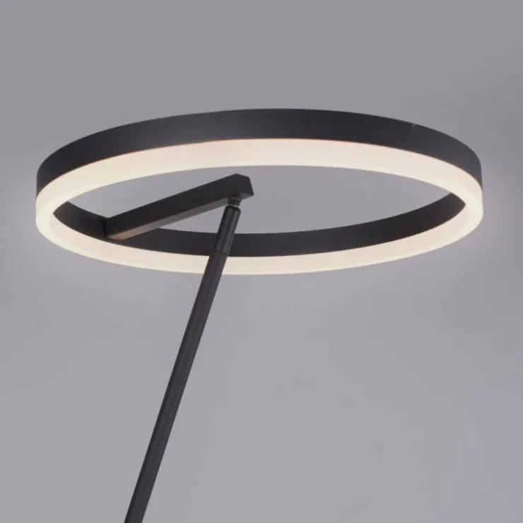 Luminaires Paul Neuhaus Lampadaires Et Lampes Sur Pied|Lampadaire Paul-Neuhaus TITUS Anthracite, 1 lumière