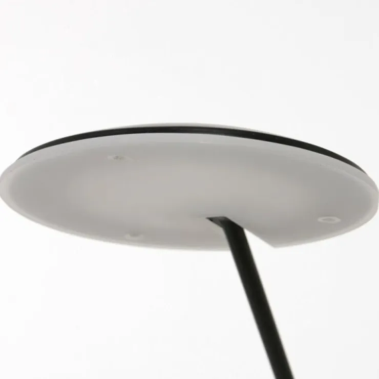 Luminaires Steinhauer Éclairage Led|Lampadaire Steinhauer Daphne LED Noir, 1 lumière