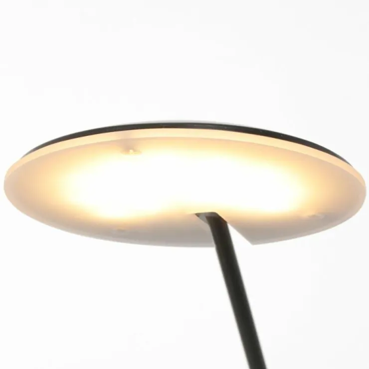 Luminaires Steinhauer Éclairage Led|Lampadaire Steinhauer Daphne LED Noir, 1 lumière