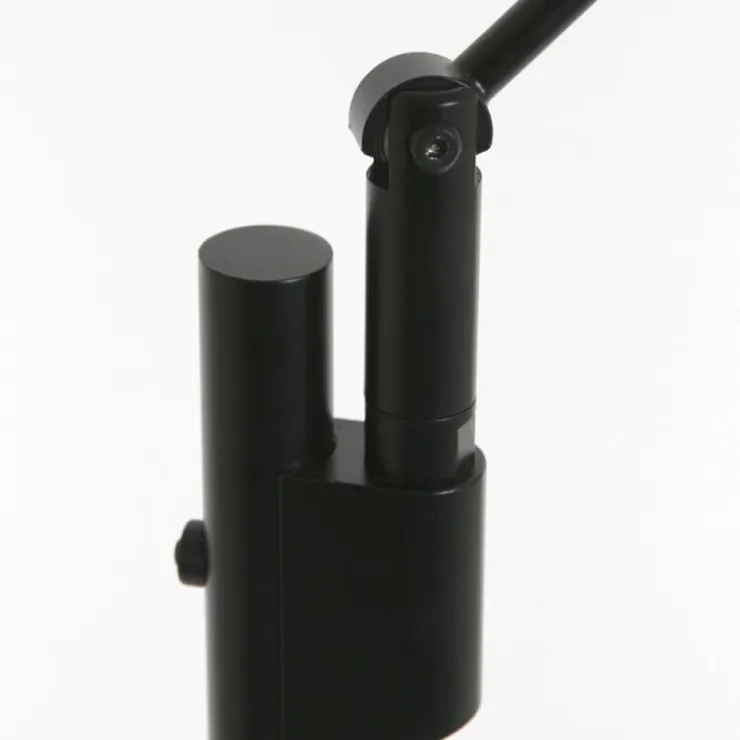Luminaires Steinhauer Éclairage Led|Lampadaire Steinhauer Daphne LED Noir, 1 lumière