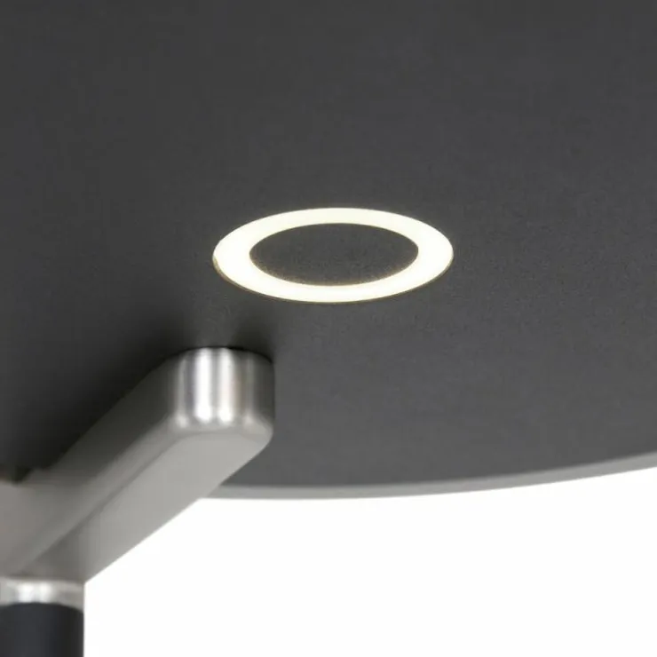 Luminaires Steinhauer Éclairage Led|Lampadaire Steinhauer Turound LED Noir, 2 lumières