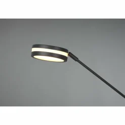 Luminaires Trio Éclairage Led|Lampadaire Trio Franklin LED Anthracite, 2 lumières