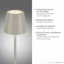 Lampe à poser Leuchten Direkt EURIA LED Gris, 1 lumière