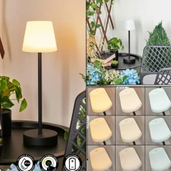 Lampe à poser Maza LED Noir, 1 lumière