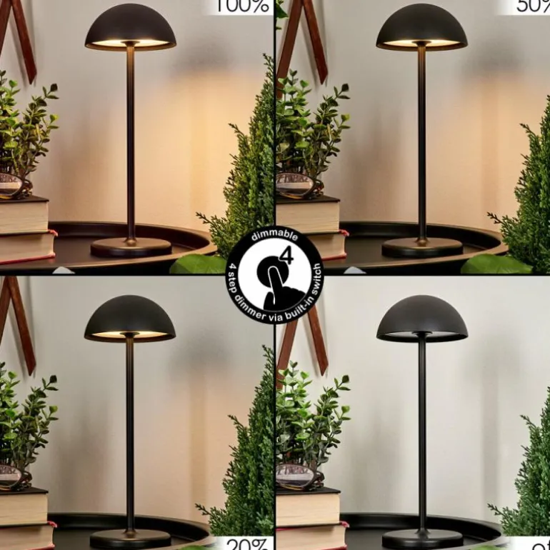 Lampe à poser Pelaro LED Noir, 1 lumière