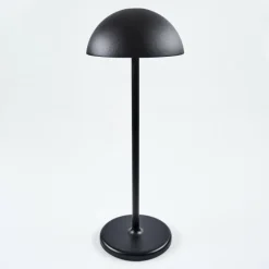 Lampe à poser Pelaro LED Noir, 1 lumière