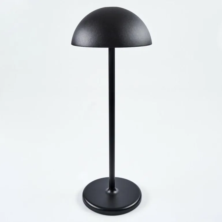 Lampe à poser Pelaro LED Noir, 1 lumière