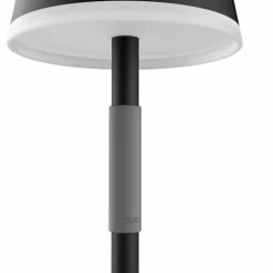 Lampe à poser Philips Hue Go LED Gris, Noir, 1 lumière, Changeur de couleurs