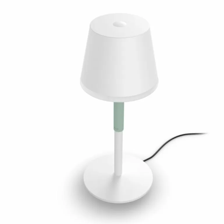 Lampe à poser Philips Hue Go LED Vert, Blanc, 1 lumière, Changeur de couleurs