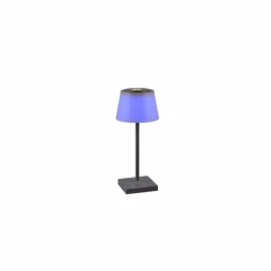 Lampe à poser Reality Sanchez LED Anthracite, 1 lumière, Changeur de couleurs