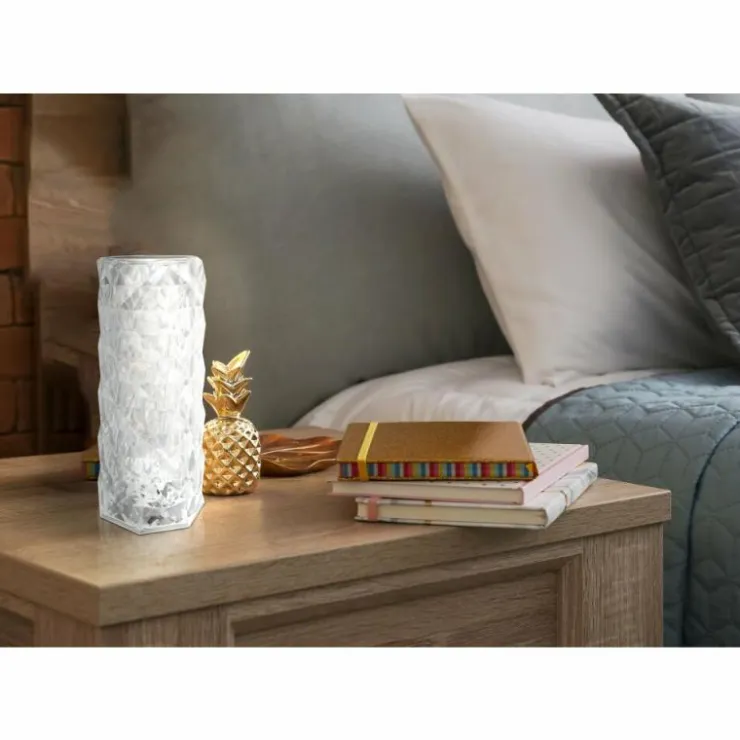 Luminaires Globo Lighting Éclairage Led|Lampe de table Globo GIXI LED Argenté, Transparent, 1 lumière
