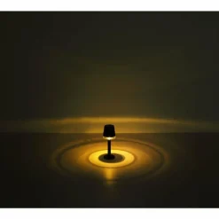 Lampe de table Globo SOLAR LED Noir, Transparent, 1 lumière