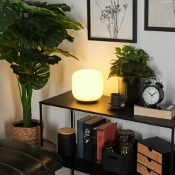 Lampe de table iDual Thyme LED Nickel mat, 1 lumière, Télécommandes, Changeur de couleurs