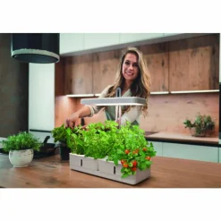 Luminaires Ledvance Éclairage Led|Lampe de table LEDVANCE Indoor Garden Blanc, 1 lumière