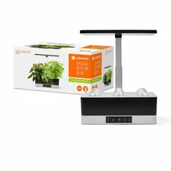 Luminaires Ledvance Éclairage Led|Lampe de table LEDVANCE Indoor Garden Noir, 1 lumière