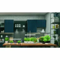 Luminaires Ledvance Éclairage Led|Lampe de table LEDVANCE Indoor Garden Noir, 1 lumière