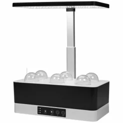 Luminaires Ledvance Éclairage Led|Lampe de table LEDVANCE Indoor Garden Noir, 1 lumière