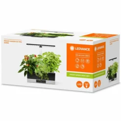 Luminaires Ledvance Éclairage Led|Lampe de table LEDVANCE Indoor Garden Noir, 1 lumière