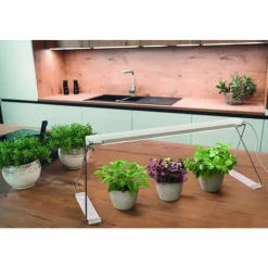 Luminaires Ledvance Éclairage Led|Lampe de table LEDVANCE Indoor Garden Blanc, 1 lumière