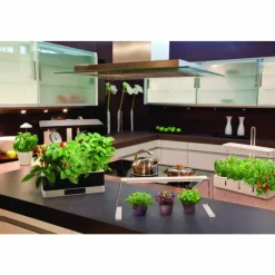 Luminaires Ledvance Éclairage Led|Lampe de table LEDVANCE Indoor Garden Blanc, 1 lumière