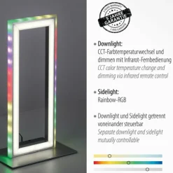 Luminaires Leuchten Direkt Lampes À Poser|Lampe de table Leuchten-Direkt FELIX60 LED Acier brossé, 2 lumières, Télécommandes, Changeur de couleurs