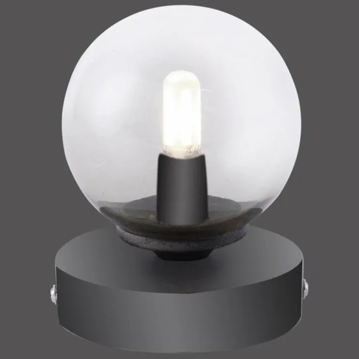 Luminaires Paul Neuhaus Éclairage Led|Lampe de table Paul Neuhaus WIDOW LED Nickel mat, Noir, 1 lumière
