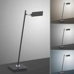 Luminaires Paul Neuhaus Éclairage Led|Lampe de table Paul Neuhaus PURE-MIRA LED Noir, 1 lumière, Télécommandes