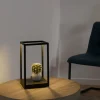 Luminaires Paul Neuhaus Éclairage Led|Lampe de table Paul-Neuhaus CONTURA LED Noir, 2 lumières
