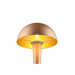 Luminaires Reality Lampes À Poser|Lampe de table Reality CANARIA LED Brun, 1 lumière