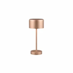 Luminaires Reality Éclairage Led|Lampe de table Reality JEFF LED Brun, 1 lumière