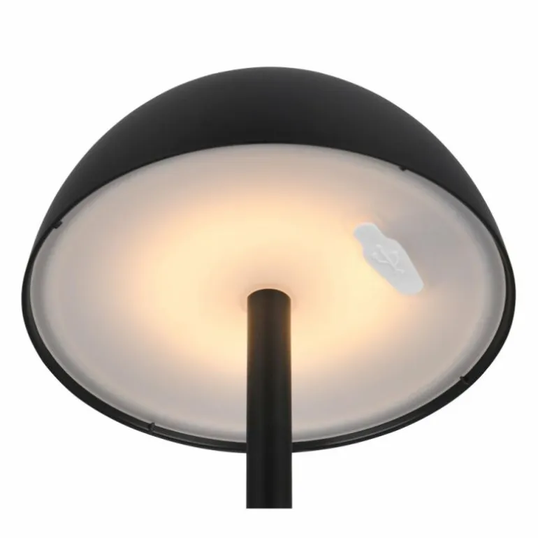 Lampe de table Reality RICARDO LED Noir, 1 lumière