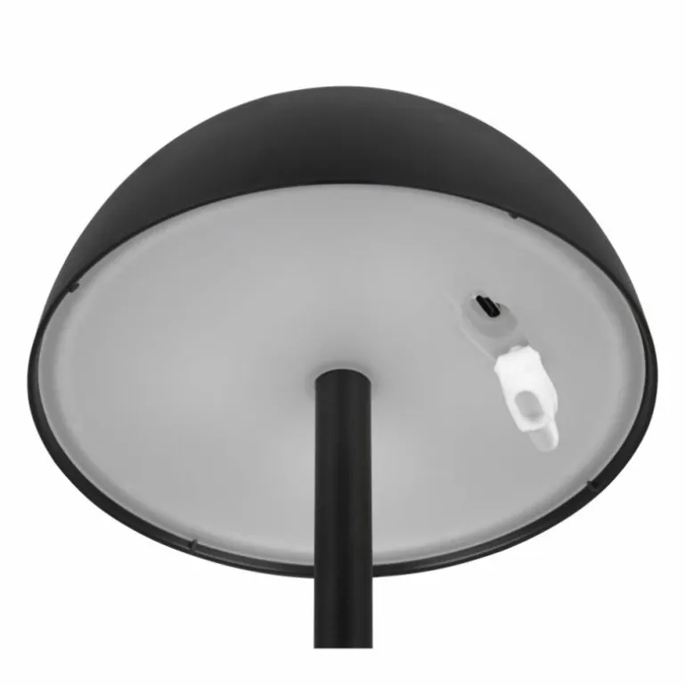 Lampe de table Reality RICARDO LED Noir, 1 lumière