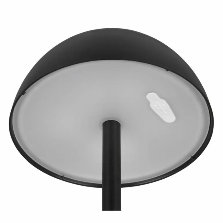 Lampe de table Reality RICARDO LED Noir, 1 lumière