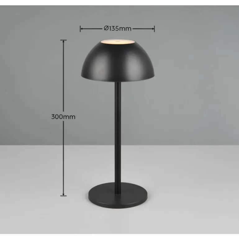 Lampe de table Reality RICARDO LED Noir, 1 lumière