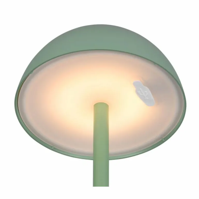 Lampe de table Reality RICARDO LED Vert, 1 lumière