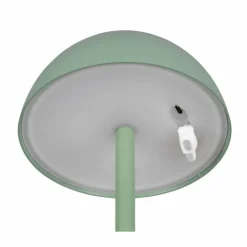 Lampe de table Reality RICARDO LED Vert, 1 lumière