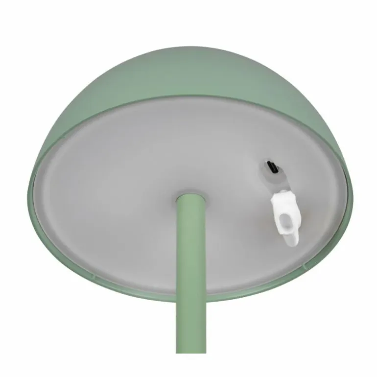 Lampe de table Reality RICARDO LED Vert, 1 lumière