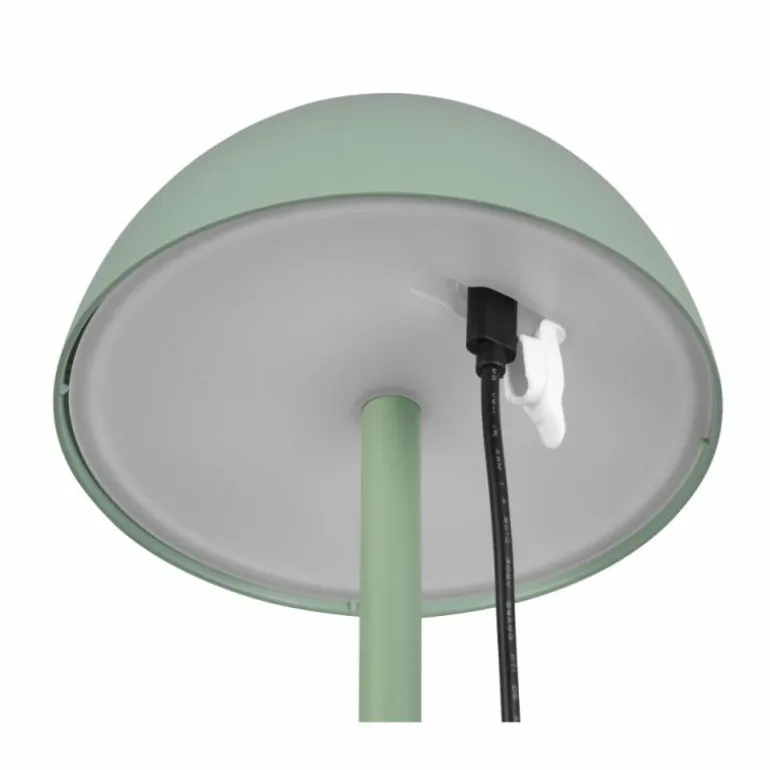 Lampe de table Reality RICARDO LED Vert, 1 lumière