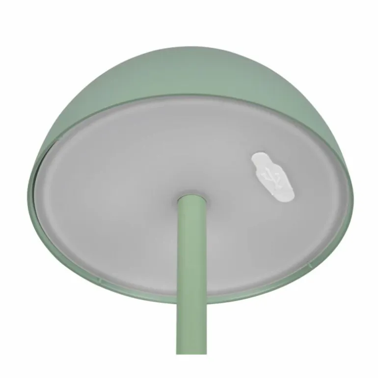 Lampe de table Reality RICARDO LED Vert, 1 lumière