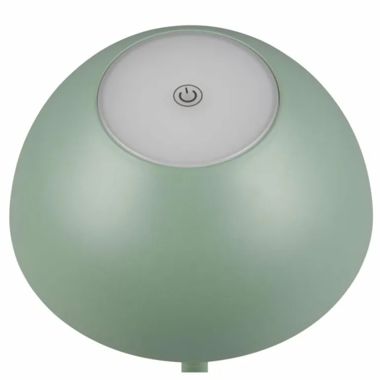 Lampe de table Reality RICARDO LED Vert, 1 lumière