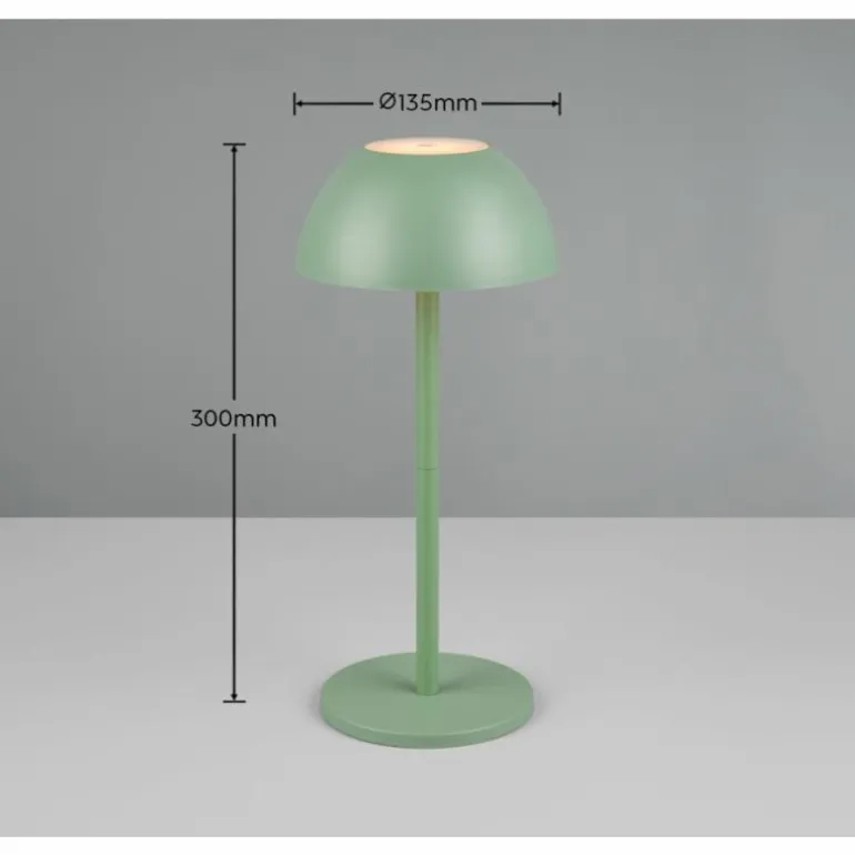 Lampe de table Reality RICARDO LED Vert, 1 lumière