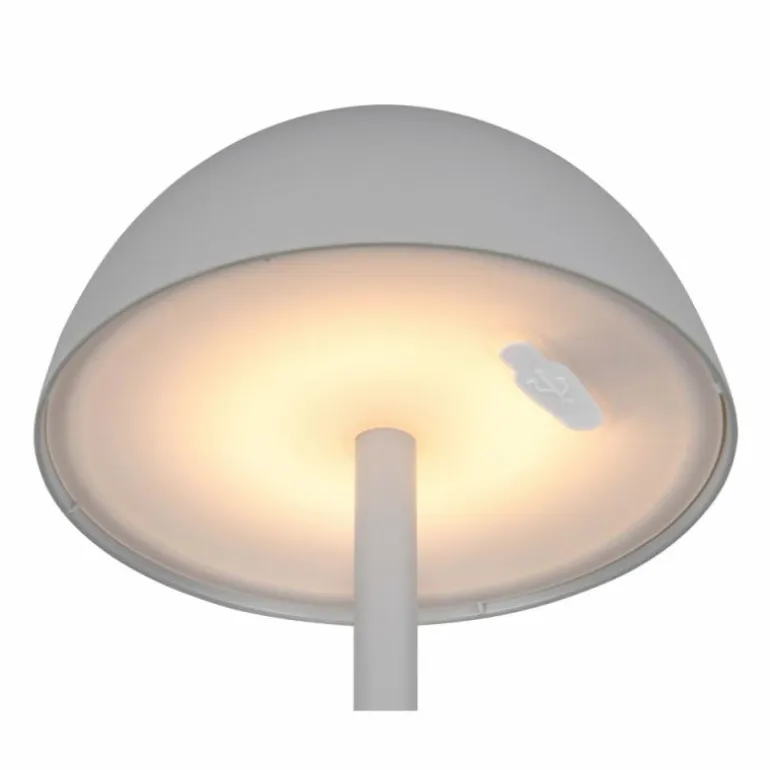 Lampe de table Reality RICARDO LED Gris, 1 lumière