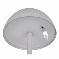 Lampe de table Reality RICARDO LED Gris, 1 lumière